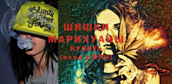 ГАЛЛЮЦИНОГЕННЫЕ ГРИБЫ Арсеньев