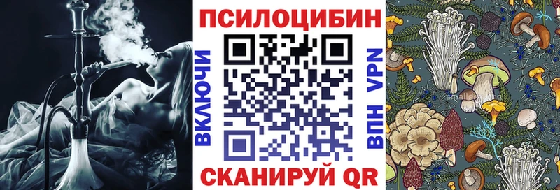 кракен ССЫЛКА  Можга  Псилоцибиновые грибы GOLDEN TEACHER 