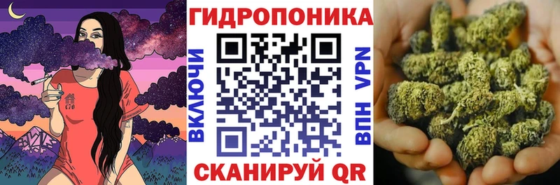 закладки  Можга  Бошки Шишки план 